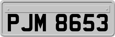 PJM8653