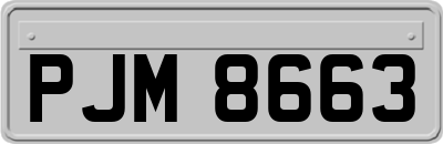 PJM8663