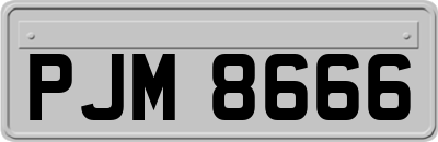 PJM8666