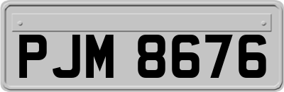 PJM8676