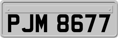 PJM8677