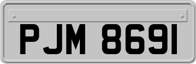 PJM8691