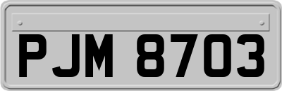 PJM8703