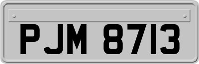PJM8713