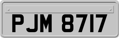 PJM8717