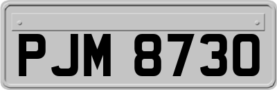 PJM8730