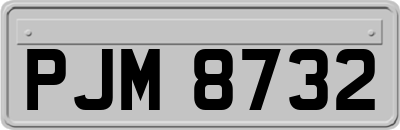 PJM8732
