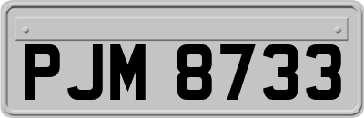 PJM8733
