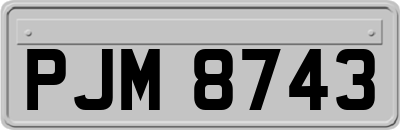 PJM8743