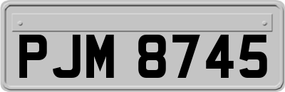 PJM8745