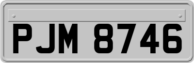 PJM8746