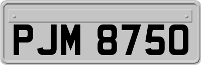 PJM8750