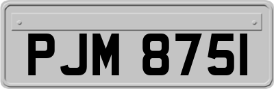 PJM8751