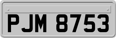 PJM8753