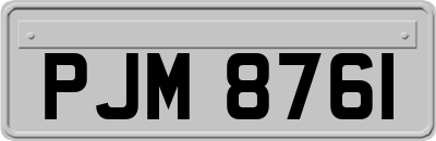 PJM8761