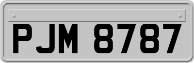 PJM8787