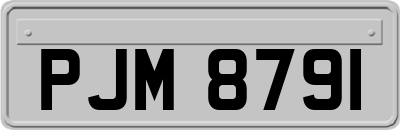 PJM8791
