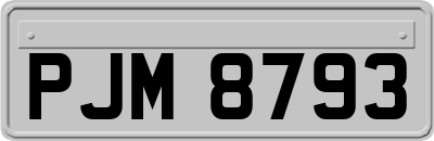 PJM8793