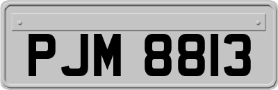 PJM8813