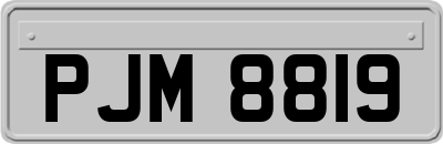 PJM8819