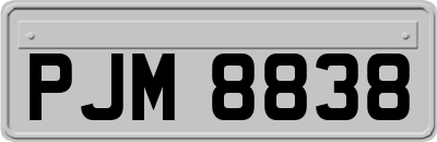 PJM8838
