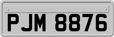 PJM8876