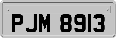 PJM8913