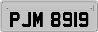 PJM8919