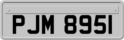 PJM8951
