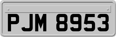 PJM8953