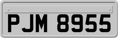 PJM8955