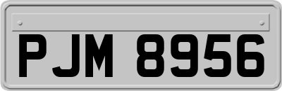 PJM8956