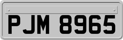 PJM8965