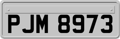 PJM8973