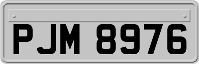 PJM8976