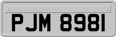 PJM8981