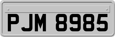 PJM8985