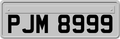 PJM8999