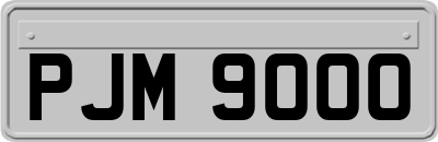 PJM9000