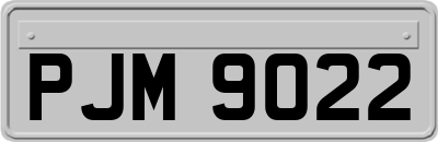 PJM9022