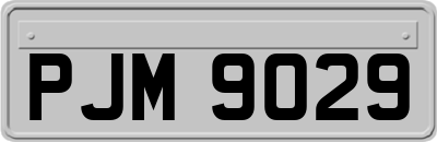 PJM9029