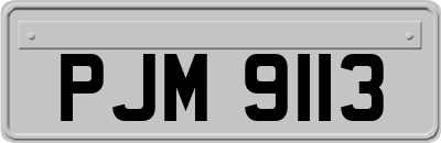 PJM9113
