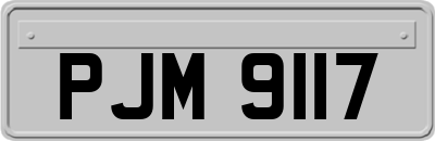 PJM9117