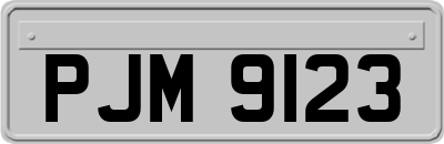 PJM9123