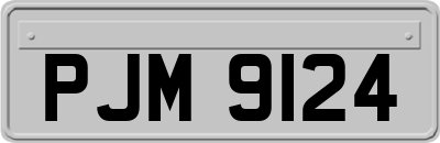 PJM9124