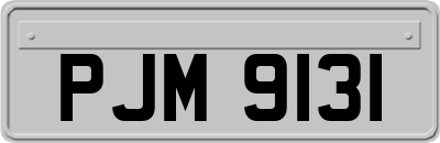 PJM9131