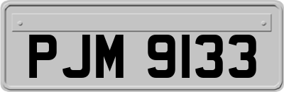 PJM9133