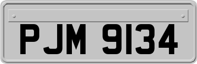 PJM9134