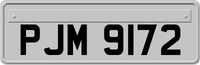 PJM9172
