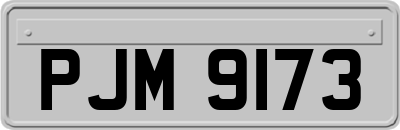 PJM9173